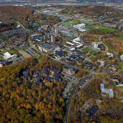 binghamton admissions